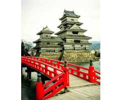 Замок Мацумото Б1-257, 200*270 см