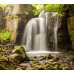 Маленькое фото Водопад в реликтовом лесу Б1-092, 300*270 см