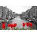 Маленькое фото Красные тюльпаны D2-090, 400*270 см